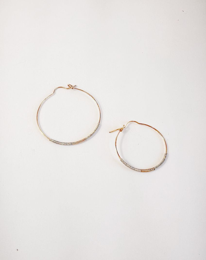 Delysia Hoops
