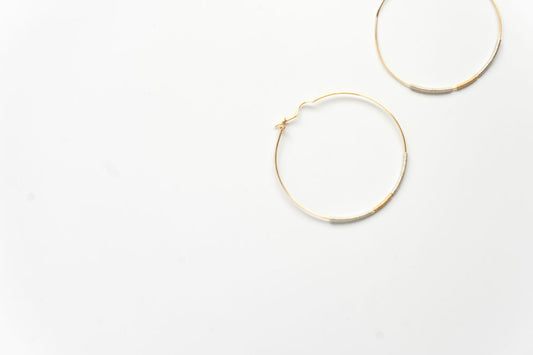 Delysia Hoops