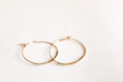 Delysia Hoops