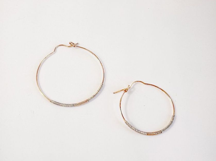 Delysia Hoops