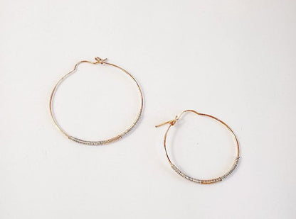 Delysia Hoops