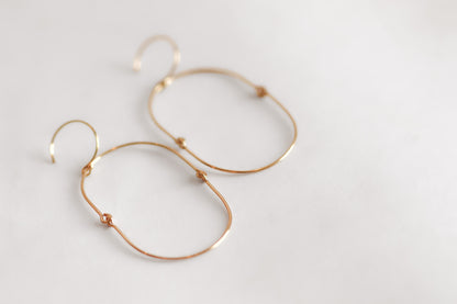 Dtalena Earrings