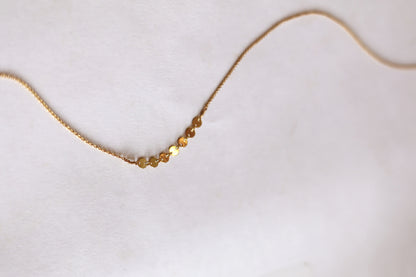 Pleasant Places Necklace