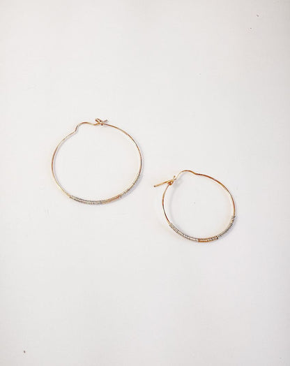 Delysia Hoops
